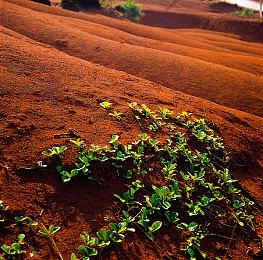 Steam新一周销量榜 《乐高星战：天行者传奇》登顶