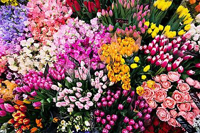 僵尸木乃伊入侵学校 《双点校园》发布万圣节更新