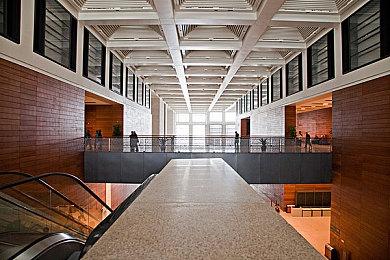 《超级马里奥兄弟：惊奇》马里奥配音疑似被更换